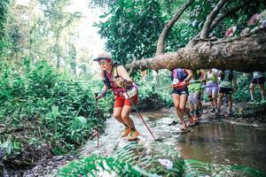 BIB: 
                            <button type="button" onclick="openModal(25454788)" class="btn btn-primary btn-sm float-right btn-popup" data-toggle="modal" data-target=".modal-high-quality">
                        <i class="fas fa-shopping-cart"></i> Add to Cart
                    </button>
                                            <button type="button" onclick="isThisMe(25454788, true)" class="btn btn-success btn-sm float-right btn-popup btn-isme hidden" data-toggle="tooltip" data-placement="bottom" title="นี่คือรูปของคุณใช่ไหม คลิกที่นี่เพื่อเอาเข้าอัลบั้ม">
                        <i class="fas fa-plus"></i> Add to album
                    </button>
                    <button type="button" onclick="isThisMe(25454788, false)" class="btn btn-warning btn-sm float-right btn-popup btn-isnotme hidden">
                        <i class="fas fa-ban"></i> Remove from album
                    </button>